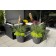 Pot Tokyo sfeer Eternit JardinChic