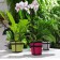 Breien groen paars roze L potplant weefsel JardinChic
