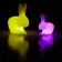 Rabbit Lamp Kleine LED met batterij Pink LED variatie en Rabbit Lamp LED met batterij Geel LED varatie Qeeboo Jardinchic