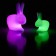 Rabbit Lamp Kleine LED met batterij Groen LED variatie en Rabbit Lamp LED met batterij Pink LED varatie Qeeboo Jardinchic