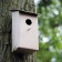 Feeder kartonnen kant Luminaria JardinChic