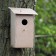 Feeder aard Luminaria JardinChic karton