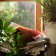 Wortel aanplant Jardinchic binnen