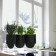 Tuinman Plant tas Sx3 stedelijke tuin gezicht sfeer Authentics JardinChic