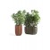 Collection Cassero avec le pot Cassero Long et le pot Cassero 60 Serralunga Jardinchic