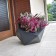 Pot Dione Anthracite Pdconcept Jardinchic