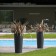 Pots Ilie Euro3Plast Jardinchic