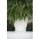 Pot Adan wit Detail Vondom JardinChic