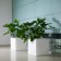 Vierkante Kube witte Euro3Plast Jardinchic pot