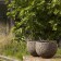 Pot Lava Ambiance Domani JardinChic
