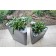 Pot Triton H48cm Noir et Pot Triton H68cm Noir (vendu séparément) Pdconcept Jardinchic