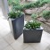 Pots Triton H68cm Noir et Triton H48cm Noir (vendu séparément) Pdconcept Jardinchic