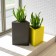 Pot Triton H68cm Anthracite (vendu séparément) et Pot Triton H48cm Jaune Pdconcept Jardinchic