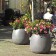 Pot Sumo sfeer Eternit JardinChic