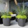 Pot Tokyo antraciet Eternit JardinChic