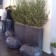 Pot zink muur Domani JardinChic