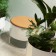 Poef Green sokkels Offecct Jardinchic