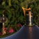 Zoom fakkel Roma Aristo Jardinchic