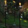 Fakkel Roma Aristo Jardinchic