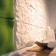 Deelvenster muur akoestiek Soundwave samenperst Jardinchic