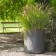 Pot Sushi Anthacite Eternit JardinChic