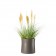 Pot knipsel Sushi Eternit JardinChic
