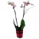Pot brei L plantaardige stof JardinChic