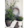 Tuyau d'Arrosage Gris avec Support Mural Gris (vendu séparément) Garden Glory JardinChic
